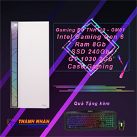 Máy tính PC Gaming TNH110 - GMS Intel thể hệ 6 cao cấp Vga GT 1030 Ram 8Gb SSD 240 