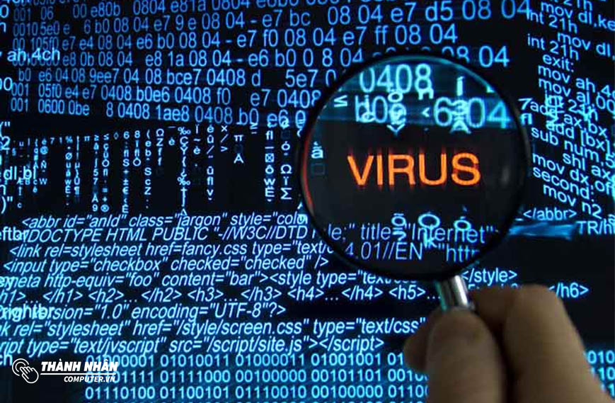 Có Những Loại Virus Máy Tính Nào?